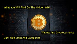 Wallets And Cryptocurrency