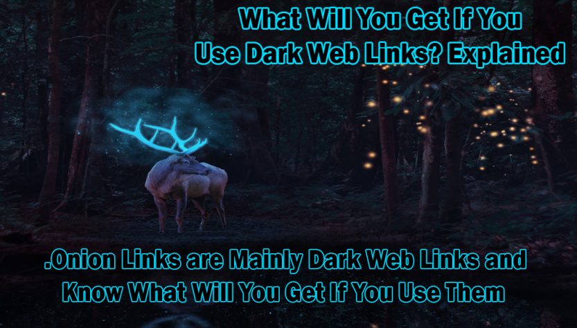 What Will You Get If You Use Dark Web Links- Explained